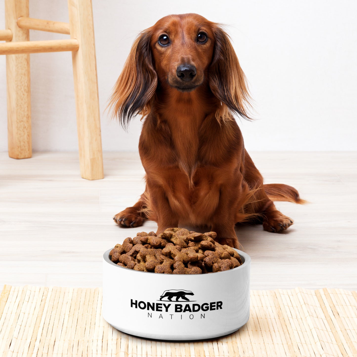 (NEW) HBN Pet bowl