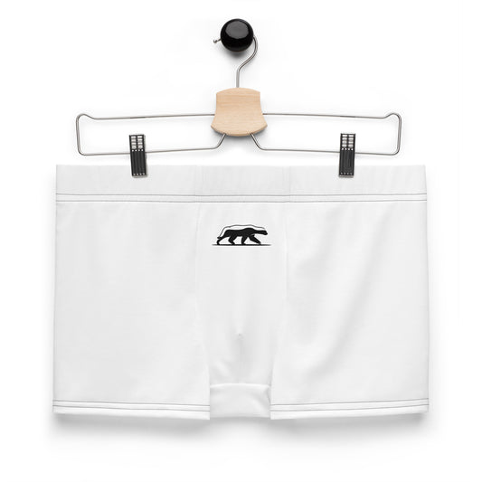 Boxer Briefs